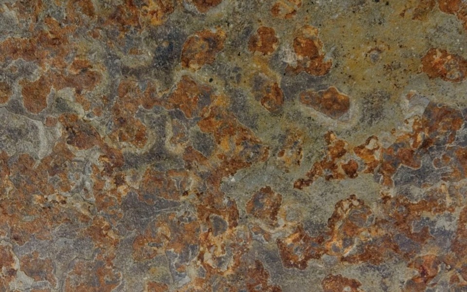 Noisette-Riven-Slate-Swatch-1024x1024